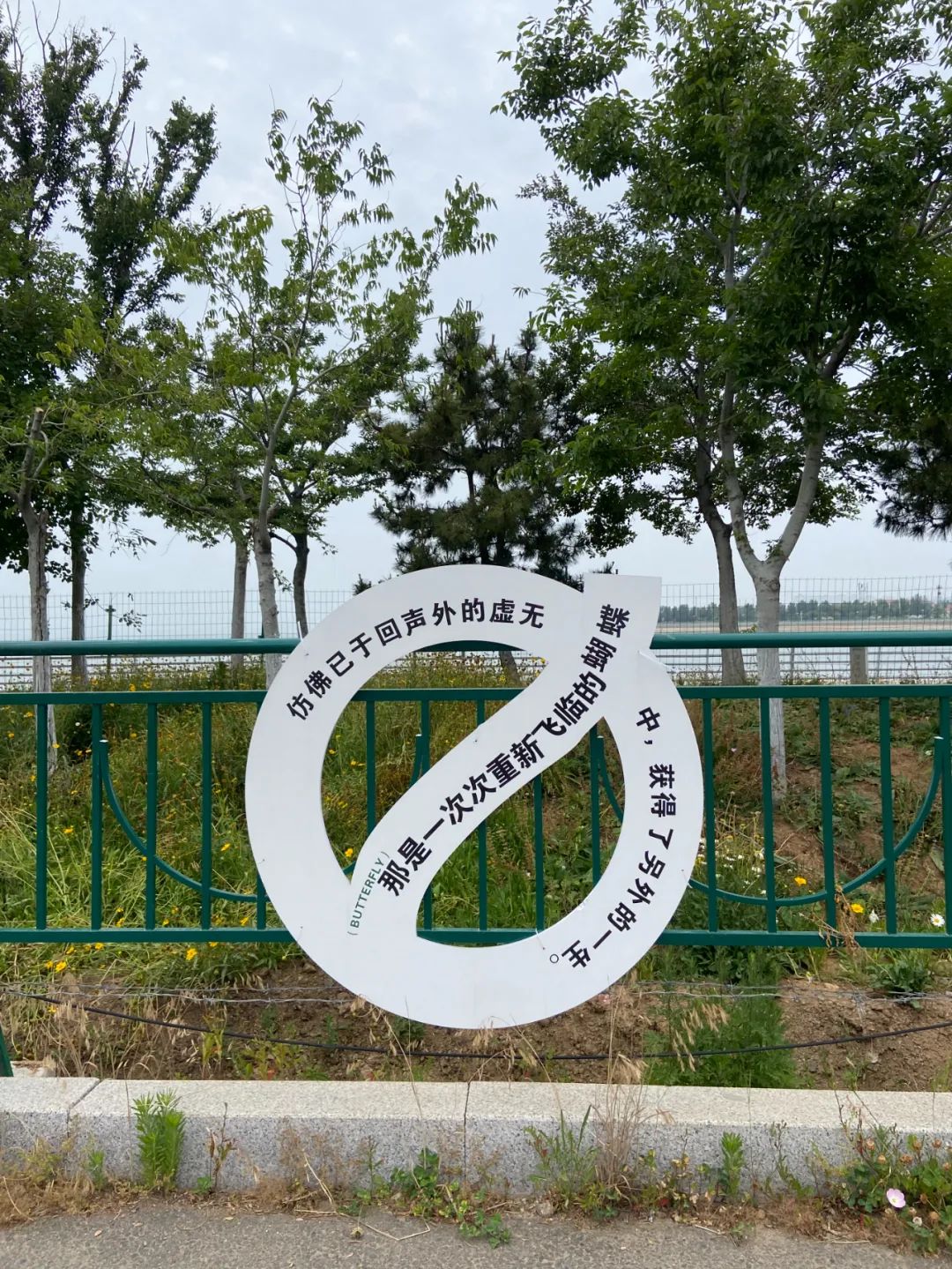 好文案不在公眾號(hào)里