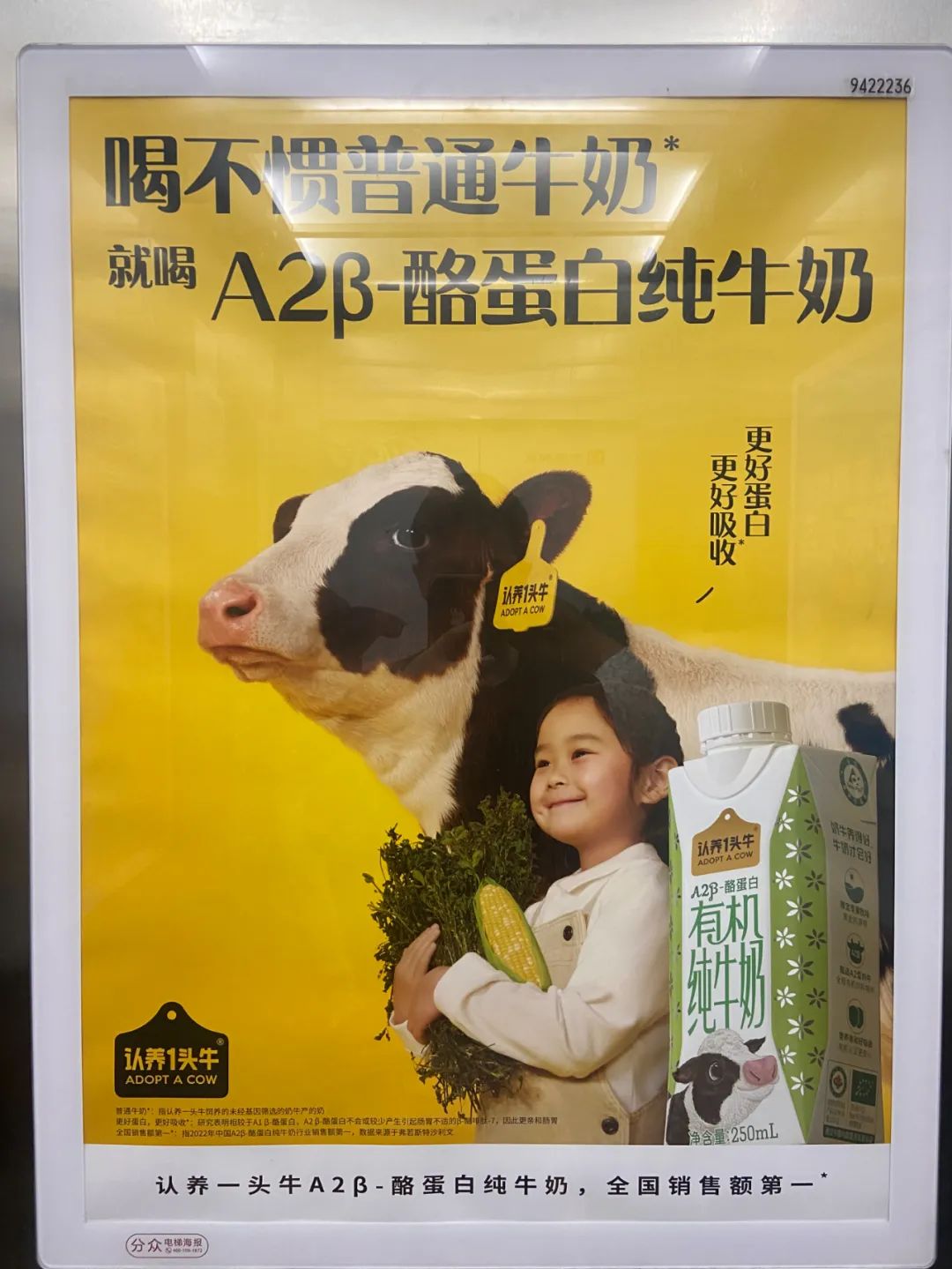 好文案不在公眾號(hào)里