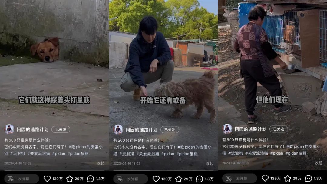 兩條廣告點贊破100萬，他是2023年的爆款制造機
