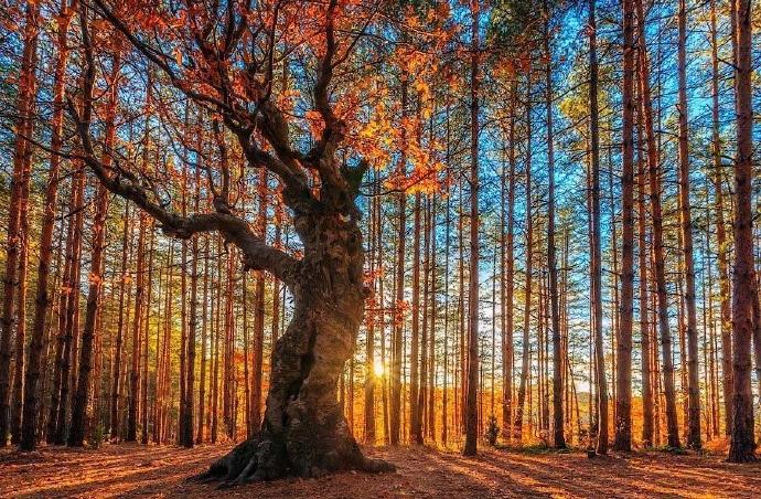 十二月你好心情說說早安說說