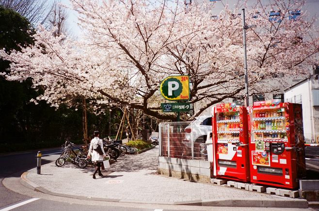 當(dāng)遺忘變成另一種開(kāi)始，淡了回憶，痛最真實(shí)