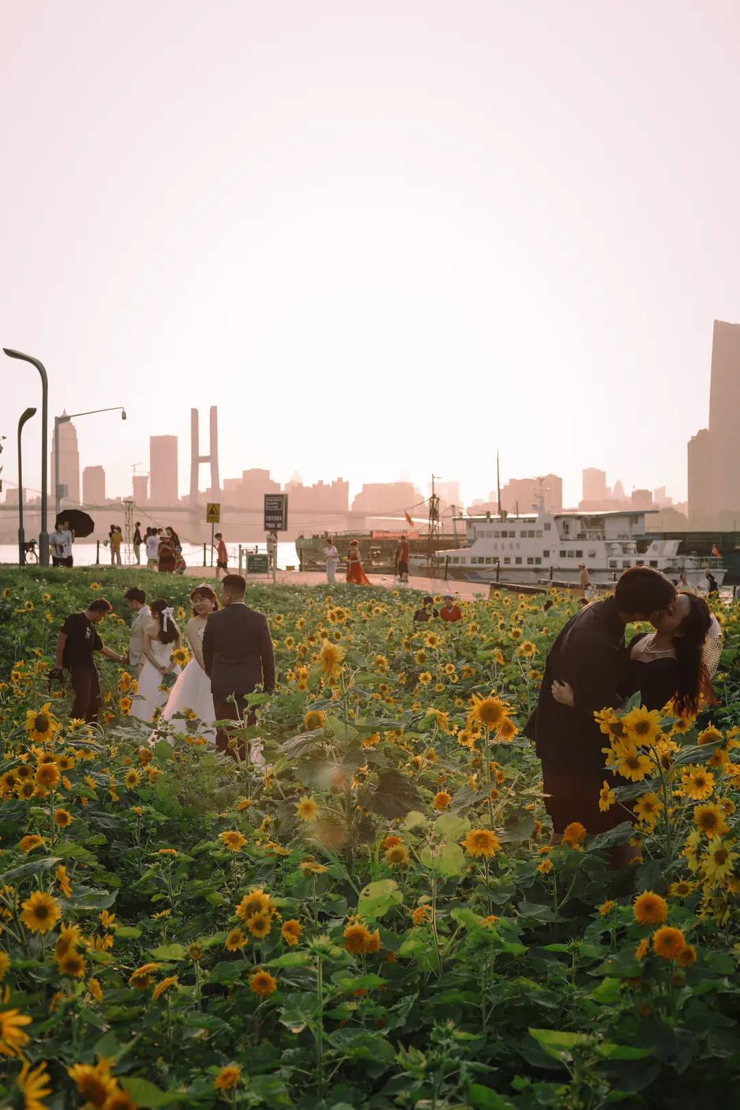 我在豆瓣里學(xué)寫文案 我在豆瓣里學(xué)寫文案