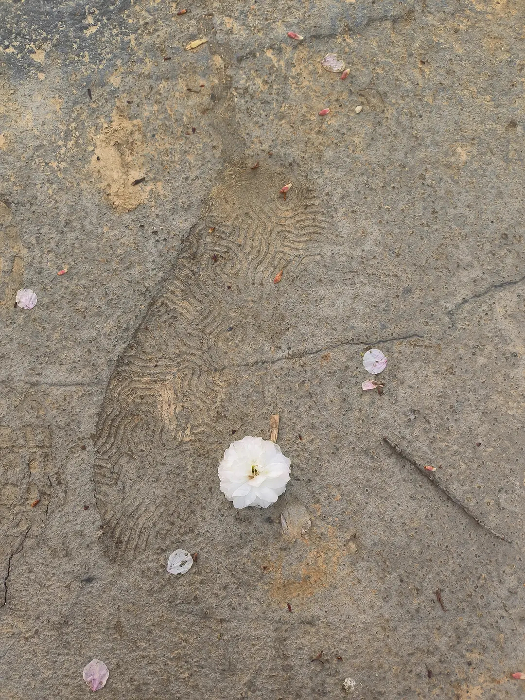 我在豆瓣里學(xué)寫文案 我在豆瓣里學(xué)寫文案