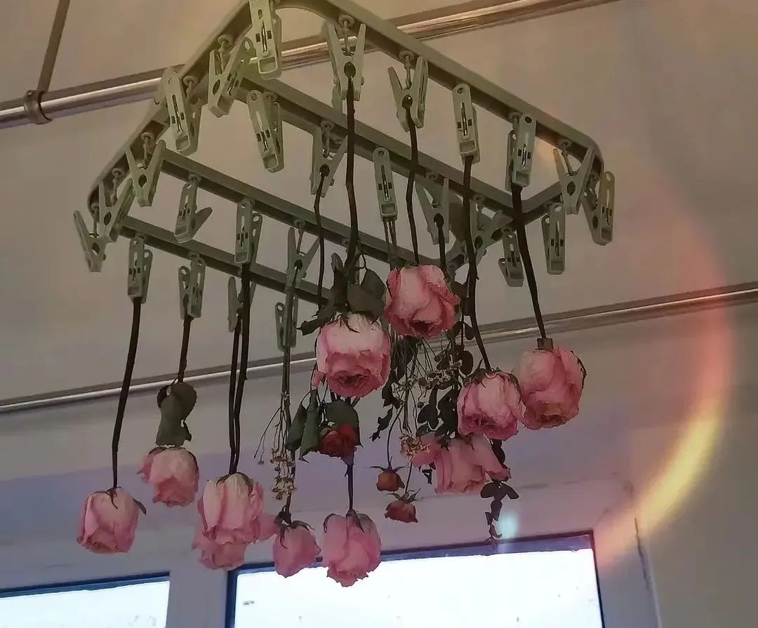 我在豆瓣里學(xué)寫文案 我在豆瓣里學(xué)寫文案