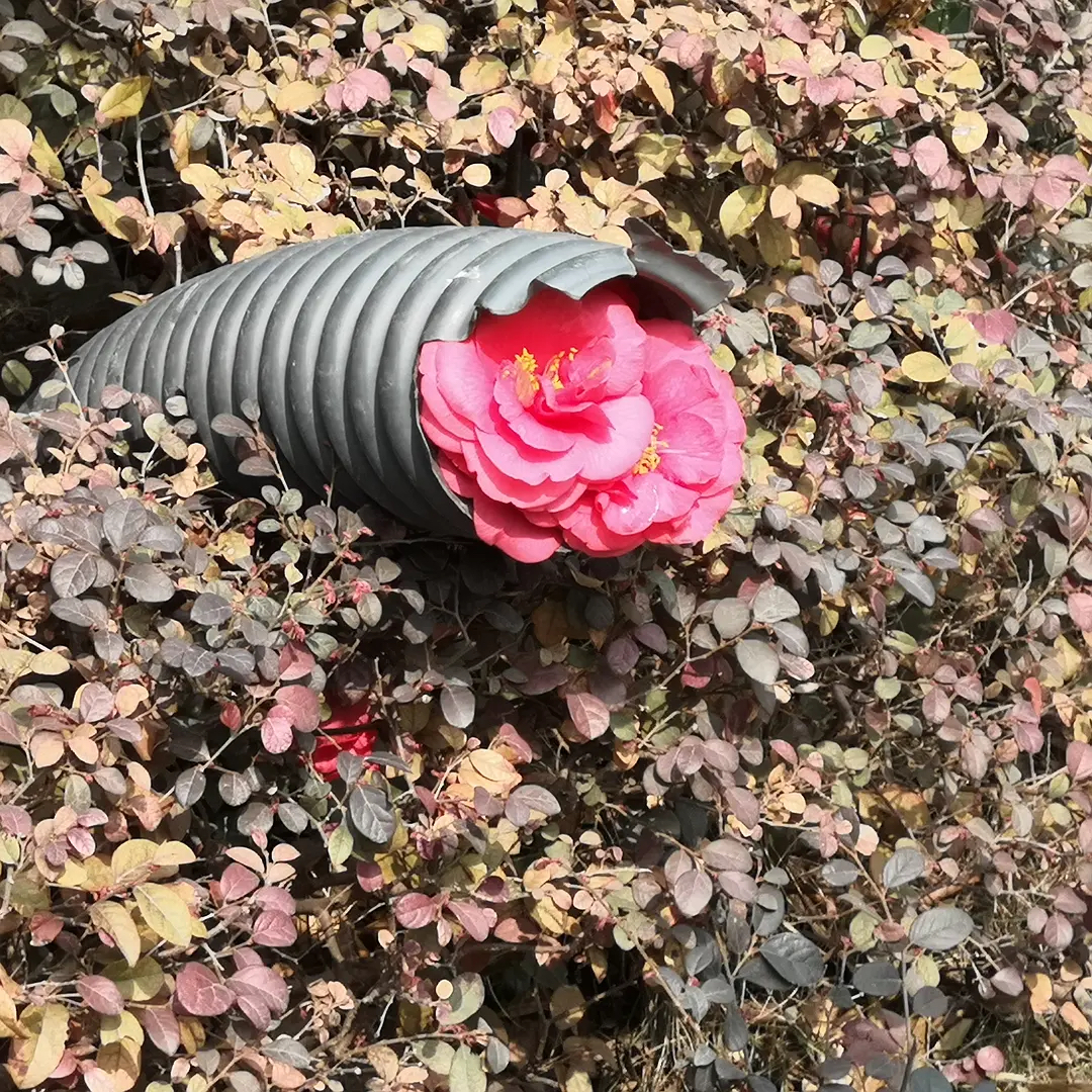 我在豆瓣里學(xué)寫文案 我在豆瓣里學(xué)寫文案