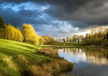 抖音最火單身狗過情人節(jié)的傷感說活 祝你歲月無波瀾，敬我余生不悲歡