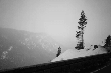 一個人忍受孤獨(dú)的傷感說說 qq說說傷感大全