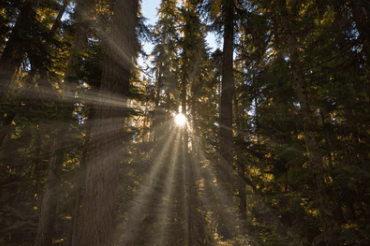 適合朋友圈最扎心的傷感說說：愿你是陽光，明媚不憂傷
