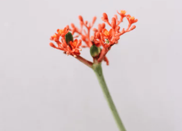 qq傷感說說寫給心累的自己（15句）