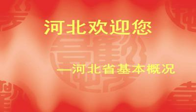 第九章,基礎(chǔ)知識,導(dǎo)游,全國