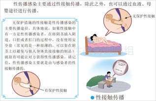小學(xué)生性知識(shí)基礎(chǔ)教育