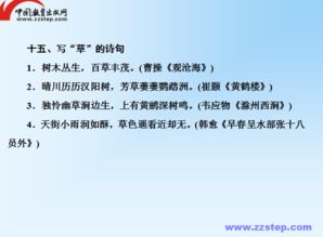 基礎(chǔ)知識積累與運用教案