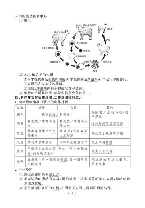 生物必備基礎(chǔ)知識(shí)點(diǎn)初中,初中生物基礎(chǔ)知識(shí)點(diǎn)總結(jié),初中生物知識(shí)點(diǎn)總結(jié)