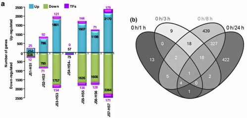轉(zhuǎn)錄組基礎(chǔ)知識