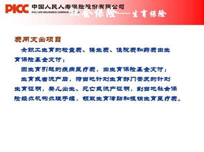 關于協(xié)管員的基礎知識及常識,社保協(xié)管員是什么工作,村委社保協(xié)管員待遇