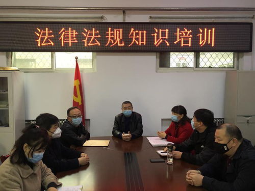 基礎(chǔ)知識,定期,法律,培訓