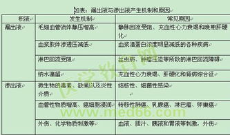 測試技術知識點總結,工程測試技術知識點,傳感器與測試技術知識點