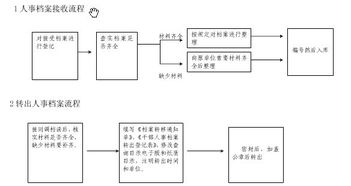 人事檔戶基礎(chǔ)知識
