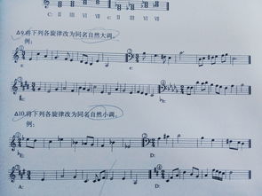 樂理,伴奏,基礎知識,純音樂