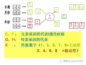數(shù)字能量表基礎知識