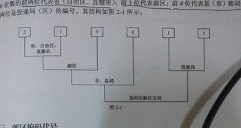 三級(jí)數(shù)字編碼基礎(chǔ)知識(shí)