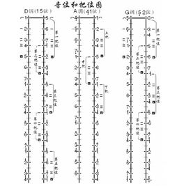 二胡入門基礎(chǔ)知識,二胡樂譜基礎(chǔ)知識,二胡樂理基礎(chǔ)知識
