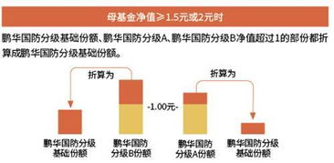 基金基礎(chǔ)知識要點