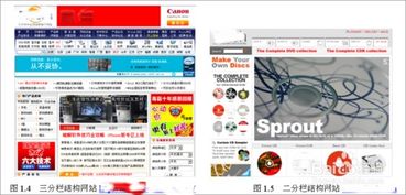 大一網頁設計基礎知識,網頁設計基礎知識總結,網頁設計基礎知識考題