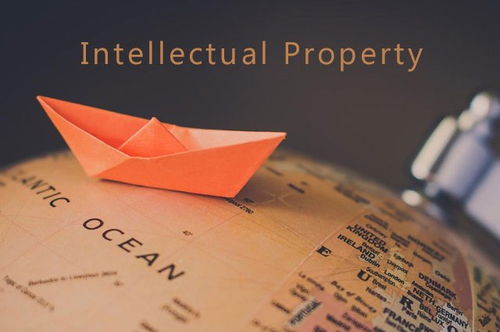 知識(shí)產(chǎn)權(quán)零基礎(chǔ)怎么樣