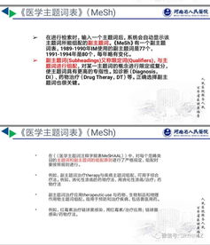 科研基礎(chǔ)知識(shí)培訓(xùn)總結(jié)