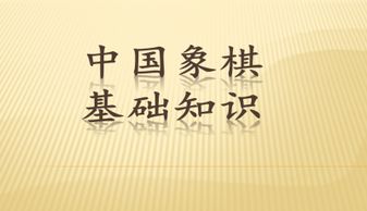 象棋教程入門基礎(chǔ)知識(shí)PPT