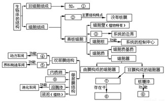18體基礎(chǔ)知識(shí)