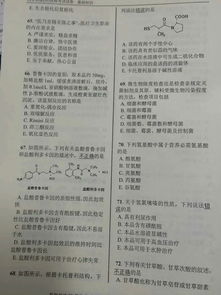 藥師考試試題基礎(chǔ)知識