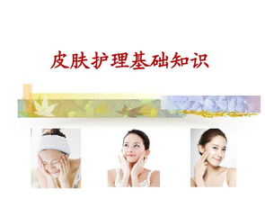 面部皮膚生理學(xué)基礎(chǔ)知識,美容皮膚基礎(chǔ)知識課件,面部皮膚結(jié)構(gòu)基礎(chǔ)知識