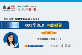 稅務(wù)基礎(chǔ)知識(shí)的講解