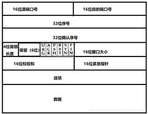 計(jì)算機(jī)網(wǎng)絡(luò)基礎(chǔ)知識(shí)簡答題