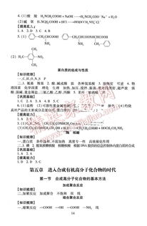 九下化學(xué)伴你學(xué)基礎(chǔ)知識(shí)梳理答案