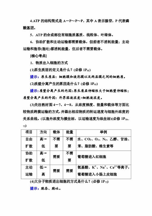 語句,基礎(chǔ)知識(shí),重要性