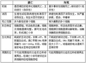 醫(yī)學(xué)基礎(chǔ)知識(shí)和醫(yī)療專業(yè)基礎(chǔ)知識(shí),醫(yī)學(xué)基礎(chǔ)知識(shí)衛(wèi)生法規(guī)重點(diǎn),醫(yī)療事業(yè)單位醫(yī)學(xué)基礎(chǔ)知識(shí)試題