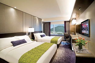 酒店客房管理基礎(chǔ)知識