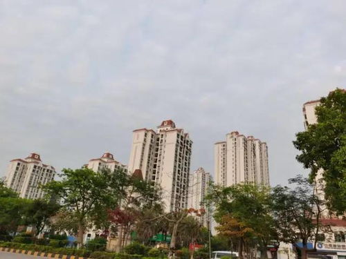 地段,基礎(chǔ)知識(shí),房地產(chǎn)