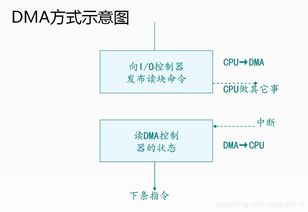 基礎(chǔ)知識,印刷,硬件,基礎(chǔ)