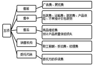 會計相關(guān)的基礎(chǔ)知識