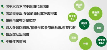 安利營養(yǎng)素基礎知識
