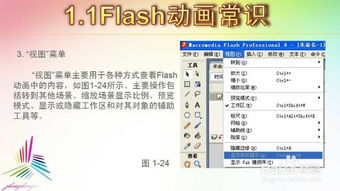 flash基礎(chǔ)考試知識