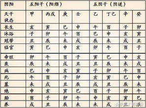 初學(xué)八字基礎(chǔ)知識(一)