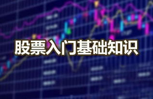 信管家股票入門基礎(chǔ)知識