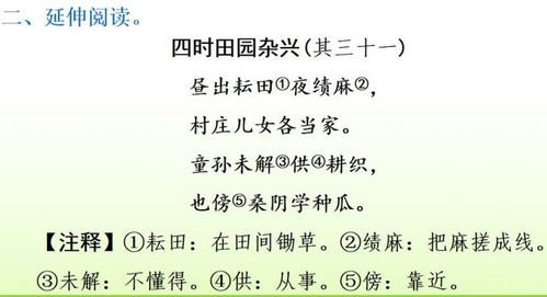 小學(xué)語文四年級(jí)基礎(chǔ)知識(shí)訓(xùn)練,小學(xué)語文四年級(jí)上冊的古詩詞,小學(xué)語文四年級(jí)上冊基礎(chǔ)知識(shí)匯總