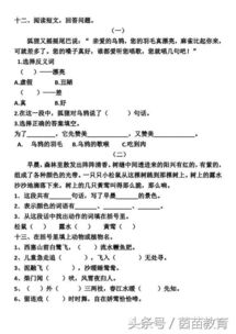 人教版,基礎(chǔ)知識,單元,小學(xué)