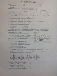 高一基礎(chǔ)知識(shí)選擇題